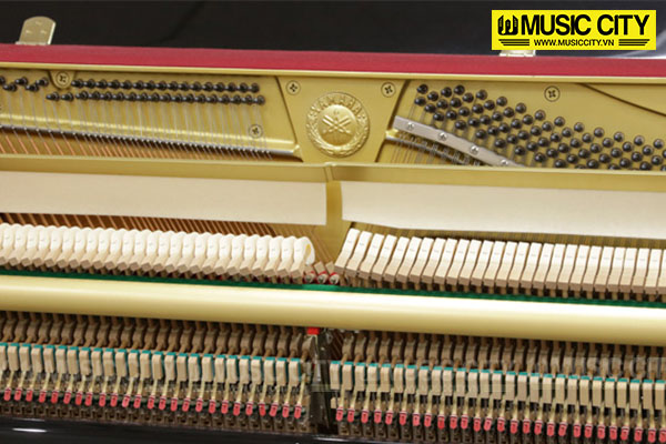 Music City – Tổng Kho Piano, Guitar, Organ | Dịch Vụ Giáo Dục Âm Nhạc