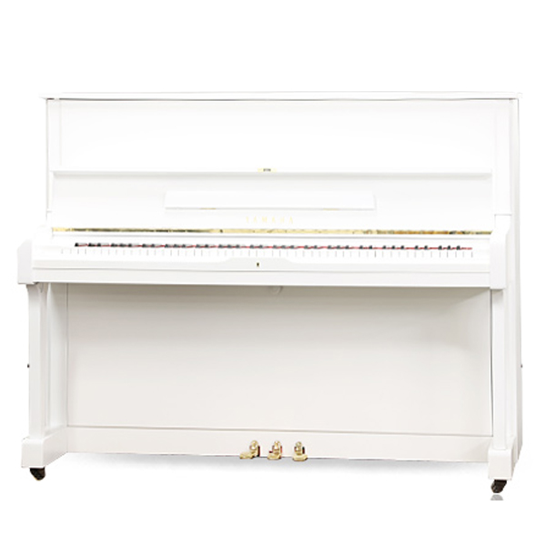 Music City – Tổng Kho Piano, Guitar, Organ | Dịch Vụ Giáo Dục Âm Nhạc