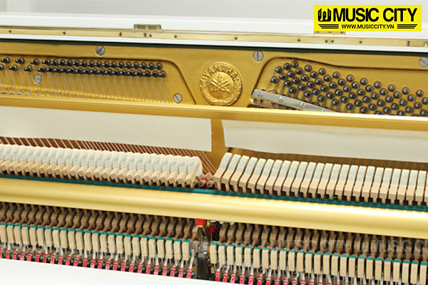 Music City – Tổng Kho Piano, Guitar, Organ | Dịch Vụ Giáo Dục Âm Nhạc