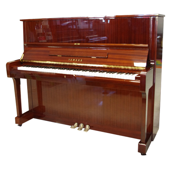Music City – Tổng Kho Piano, Guitar, Organ | Dịch Vụ Giáo Dục Âm Nhạc