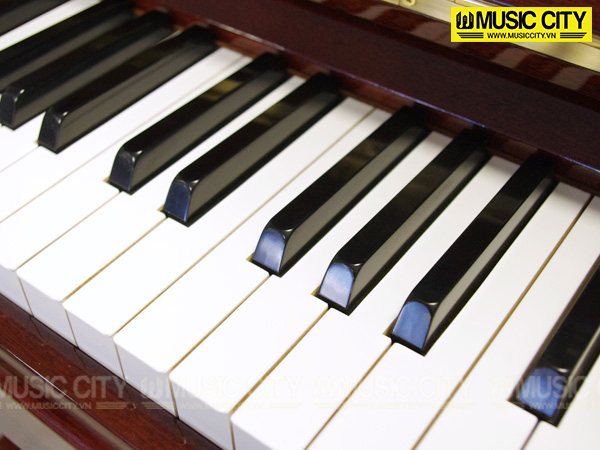 Music City – Tổng Kho Piano, Guitar, Organ | Dịch Vụ Giáo Dục Âm Nhạc