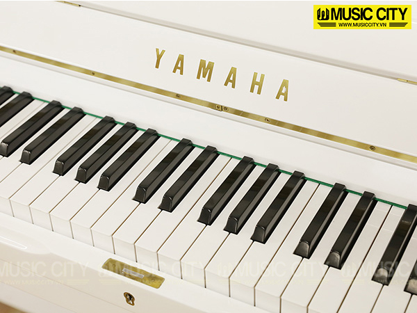 Music City – Tổng Kho Piano, Guitar, Organ | Dịch Vụ Giáo Dục Âm Nhạc