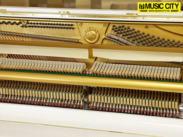 Music City – Tổng Kho Piano, Guitar, Organ | Dịch Vụ Giáo Dục Âm Nhạc