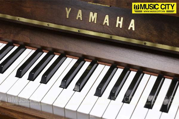 Music City – Tổng Kho Piano, Guitar, Organ | Dịch Vụ Giáo Dục Âm Nhạc