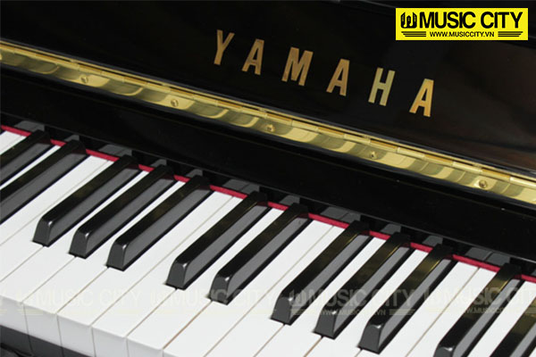 Music City – Tổng Kho Piano, Guitar, Organ | Dịch Vụ Giáo Dục Âm Nhạc