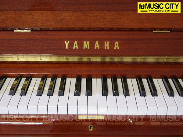 Music City – Tổng Kho Piano, Guitar, Organ | Dịch Vụ Giáo Dục Âm Nhạc