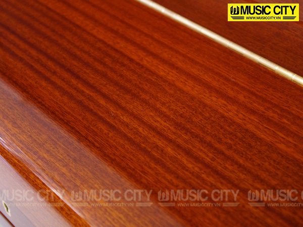 Music City – Tổng Kho Piano, Guitar, Organ | Dịch Vụ Giáo Dục Âm Nhạc