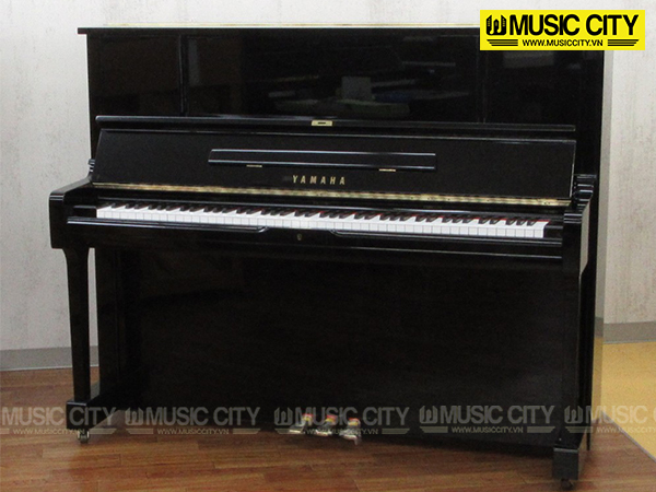 Music City – Tổng Kho Piano, Guitar, Organ | Dịch Vụ Giáo Dục Âm Nhạc