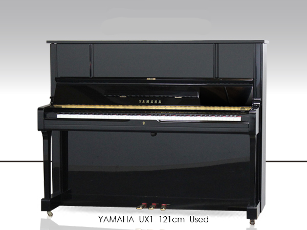 Music City – Tổng Kho Piano, Guitar, Organ | Dịch Vụ Giáo Dục Âm Nhạc