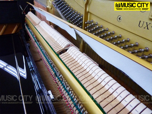 Music City – Tổng Kho Piano, Guitar, Organ | Dịch Vụ Giáo Dục Âm Nhạc