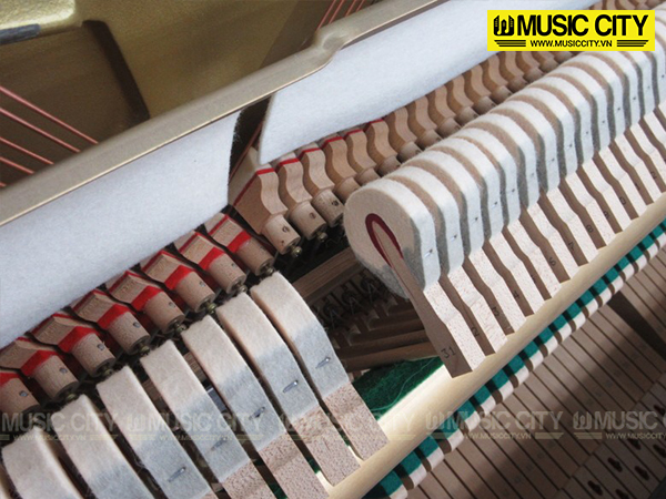 Music City – Tổng Kho Piano, Guitar, Organ | Dịch Vụ Giáo Dục Âm Nhạc