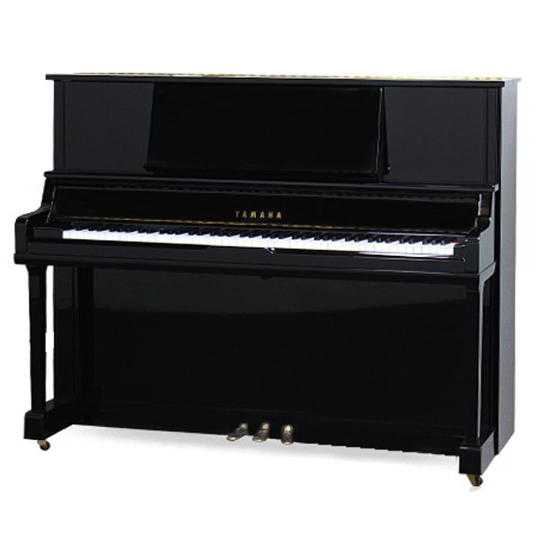 Music City – Tổng Kho Piano, Guitar, Organ | Dịch Vụ Giáo Dục Âm Nhạc