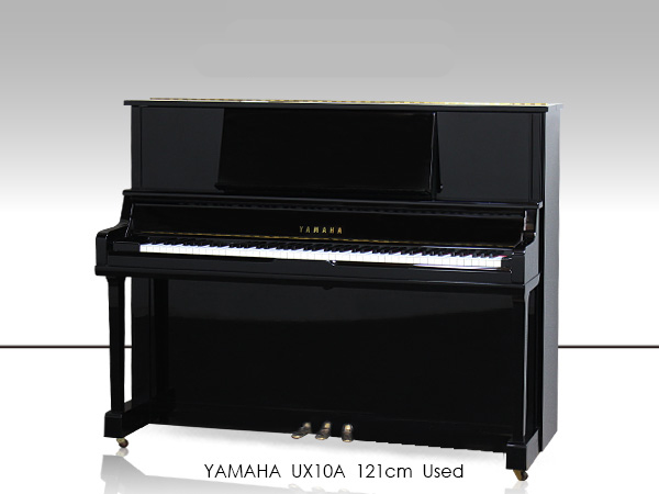 Music City – Tổng Kho Piano, Guitar, Organ | Dịch Vụ Giáo Dục Âm Nhạc