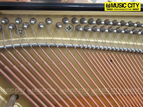 Music City – Tổng Kho Piano, Guitar, Organ | Dịch Vụ Giáo Dục Âm Nhạc