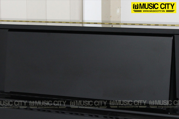 Music City – Tổng Kho Piano, Guitar, Organ | Dịch Vụ Giáo Dục Âm Nhạc