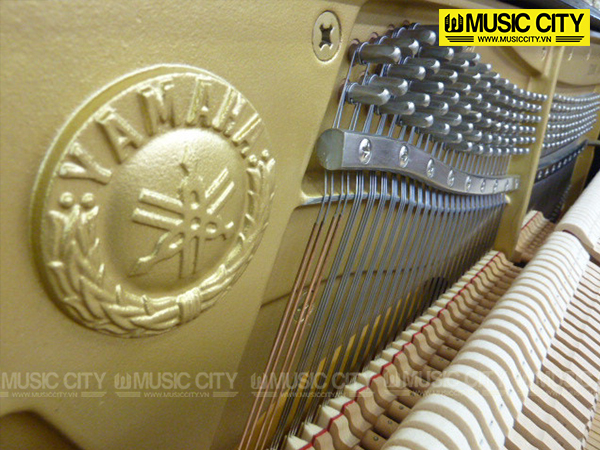 Music City – Tổng Kho Piano, Guitar, Organ | Dịch Vụ Giáo Dục Âm Nhạc
