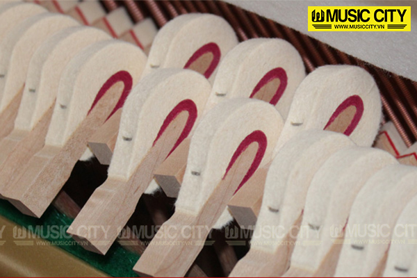Music City – Tổng Kho Piano, Guitar, Organ | Dịch Vụ Giáo Dục Âm Nhạc