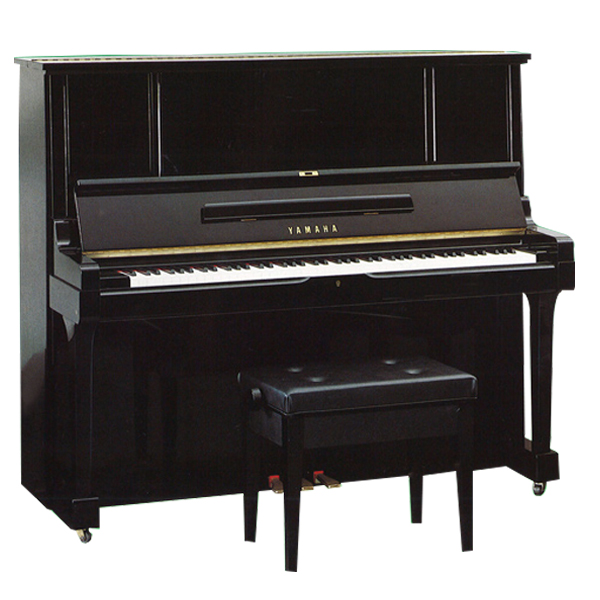 Music City – Tổng Kho Piano, Guitar, Organ | Dịch Vụ Giáo Dục Âm Nhạc
