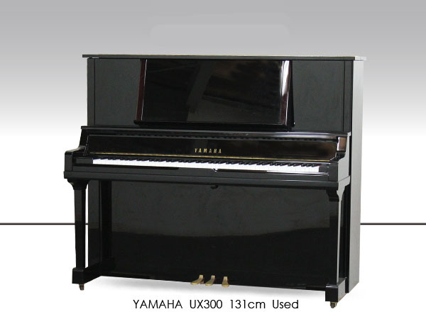 Music City – Tổng Kho Piano, Guitar, Organ | Dịch Vụ Giáo Dục Âm Nhạc