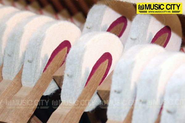 Music City – Tổng Kho Piano, Guitar, Organ | Dịch Vụ Giáo Dục Âm Nhạc
