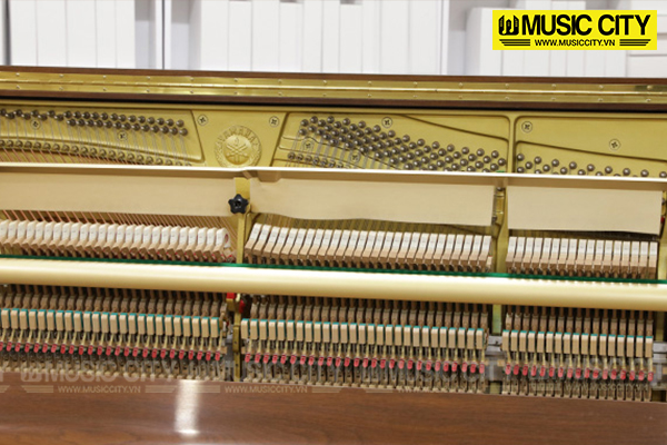 Music City – Tổng Kho Piano, Guitar, Organ | Dịch Vụ Giáo Dục Âm Nhạc