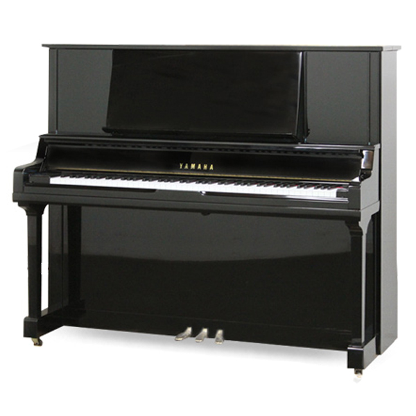 Music City – Tổng Kho Piano, Guitar, Organ | Dịch Vụ Giáo Dục Âm Nhạc