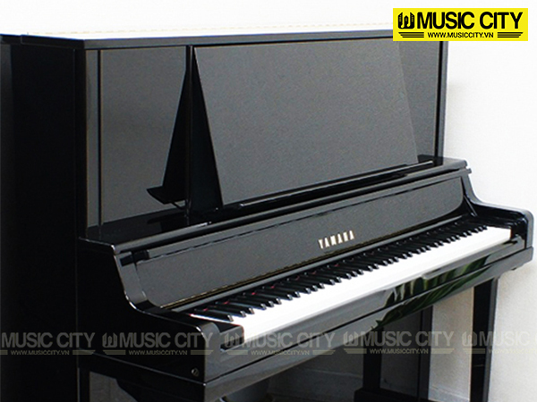 Music City – Tổng Kho Piano, Guitar, Organ | Dịch Vụ Giáo Dục Âm Nhạc