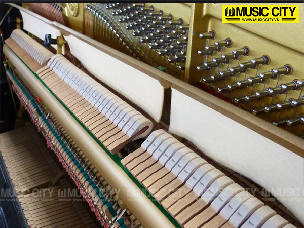 Music City – Tổng Kho Piano, Guitar, Organ | Dịch Vụ Giáo Dục Âm Nhạc