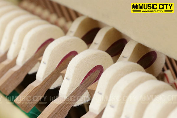 Music City – Tổng Kho Piano, Guitar, Organ | Dịch Vụ Giáo Dục Âm Nhạc