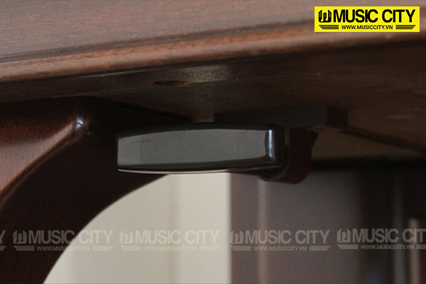 Music City – Tổng Kho Piano, Guitar, Organ | Dịch Vụ Giáo Dục Âm Nhạc