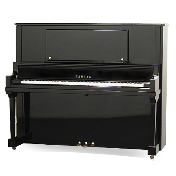 Music City – Tổng Kho Piano, Guitar, Organ | Dịch Vụ Giáo Dục Âm Nhạc