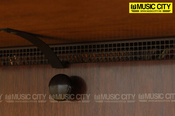 Music City – Tổng Kho Piano, Guitar, Organ | Dịch Vụ Giáo Dục Âm Nhạc
