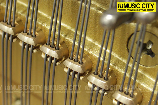 Music City – Tổng Kho Piano, Guitar, Organ | Dịch Vụ Giáo Dục Âm Nhạc