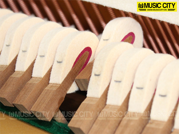 Music City – Tổng Kho Piano, Guitar, Organ | Dịch Vụ Giáo Dục Âm Nhạc