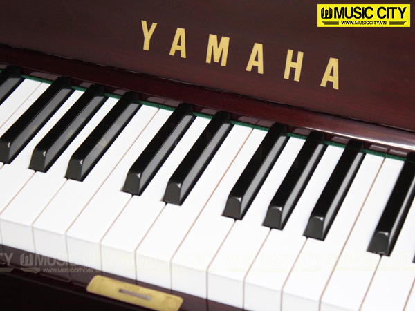 Music City – Tổng Kho Piano, Guitar, Organ | Dịch Vụ Giáo Dục Âm Nhạc