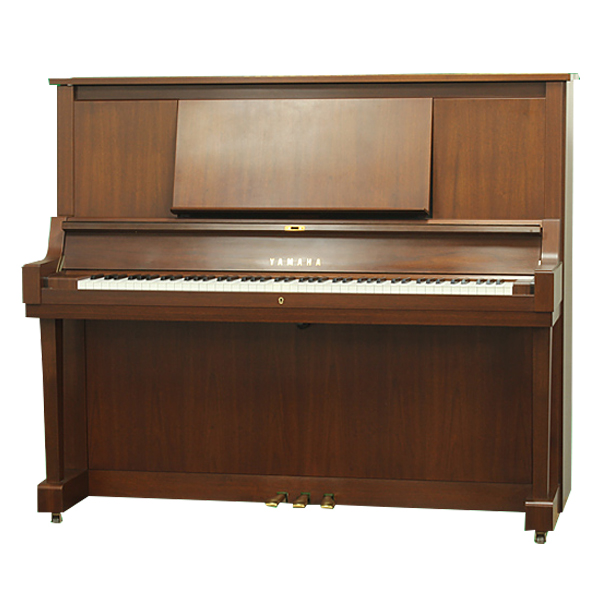 Music City – Tổng Kho Piano, Guitar, Organ | Dịch Vụ Giáo Dục Âm Nhạc