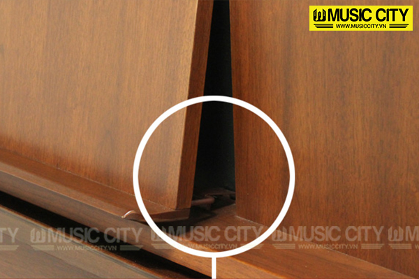 Music City – Tổng Kho Piano, Guitar, Organ | Dịch Vụ Giáo Dục Âm Nhạc