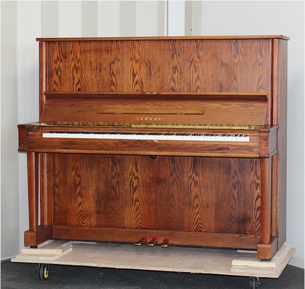 Music City – Tổng Kho Piano, Guitar, Organ | Dịch Vụ Giáo Dục Âm Nhạc