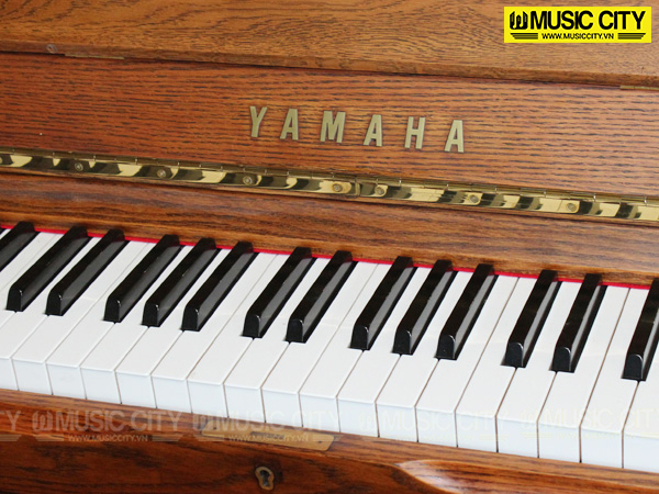 Music City – Tổng Kho Piano, Guitar, Organ | Dịch Vụ Giáo Dục Âm Nhạc