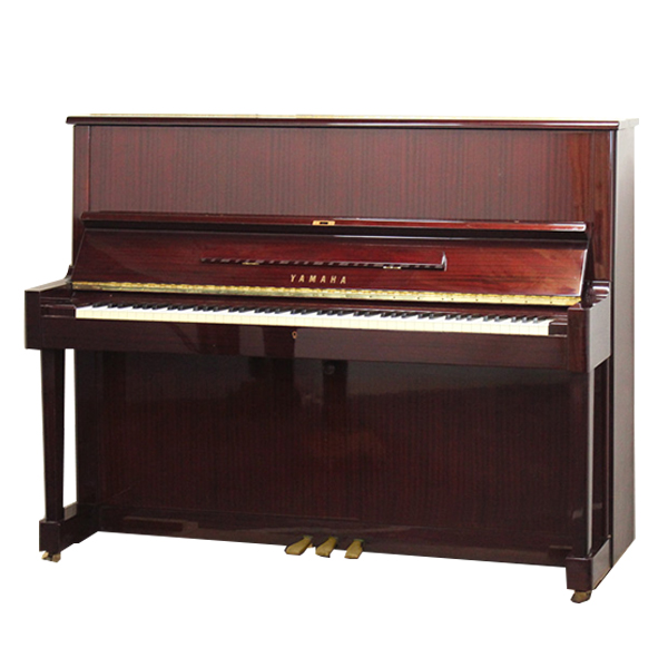 Music City – Tổng Kho Piano, Guitar, Organ | Dịch Vụ Giáo Dục Âm Nhạc