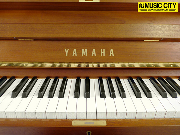 Music City – Tổng Kho Piano, Guitar, Organ | Dịch Vụ Giáo Dục Âm Nhạc