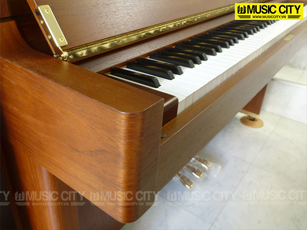 Music City – Tổng Kho Piano, Guitar, Organ | Dịch Vụ Giáo Dục Âm Nhạc