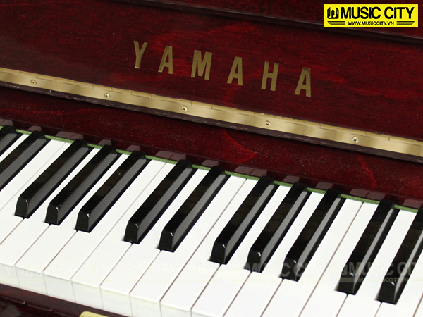 Music City – Tổng Kho Piano, Guitar, Organ | Dịch Vụ Giáo Dục Âm Nhạc