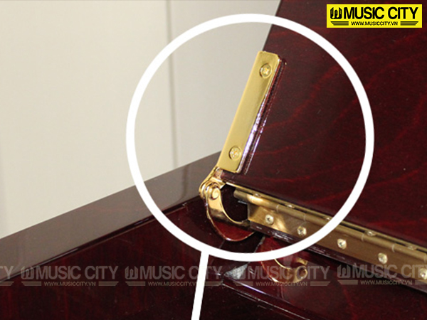 Music City – Tổng Kho Piano, Guitar, Organ | Dịch Vụ Giáo Dục Âm Nhạc