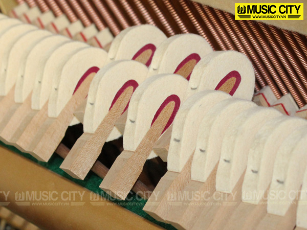 Music City – Tổng Kho Piano, Guitar, Organ | Dịch Vụ Giáo Dục Âm Nhạc