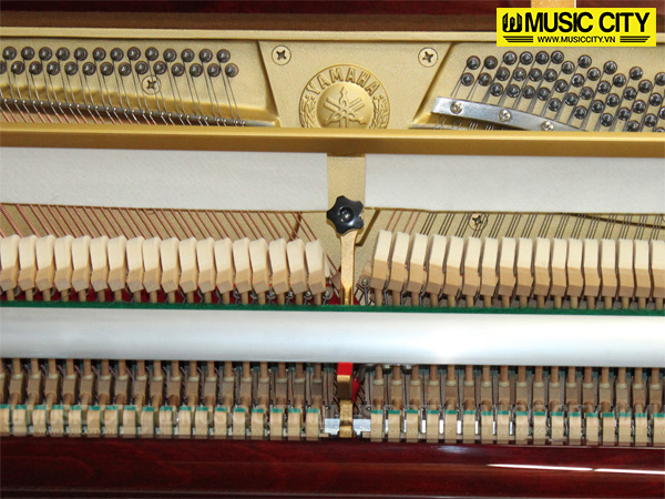 Music City – Tổng Kho Piano, Guitar, Organ | Dịch Vụ Giáo Dục Âm Nhạc