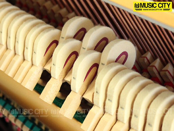 Music City – Tổng Kho Piano, Guitar, Organ | Dịch Vụ Giáo Dục Âm Nhạc