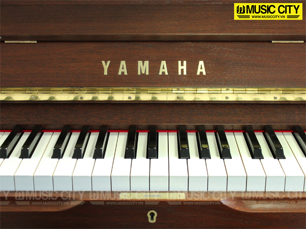 Music City – Tổng Kho Piano, Guitar, Organ | Dịch Vụ Giáo Dục Âm Nhạc