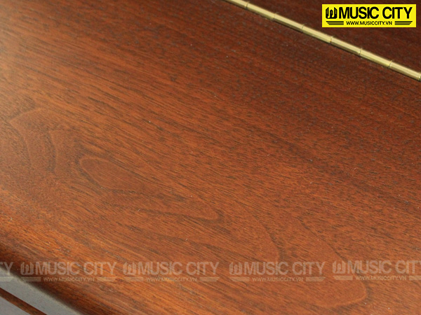 Music City – Tổng Kho Piano, Guitar, Organ | Dịch Vụ Giáo Dục Âm Nhạc