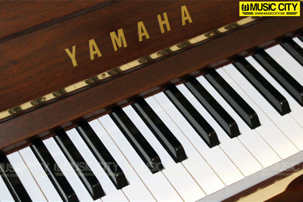 Music City – Tổng Kho Piano, Guitar, Organ | Dịch Vụ Giáo Dục Âm Nhạc